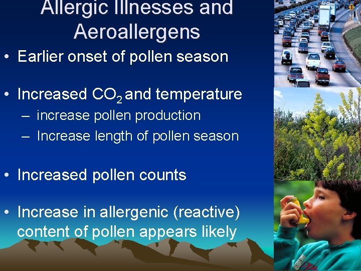 Allergic Illnesses and Aeroallergens • Earlier onset of pollen season • Increased CO 2