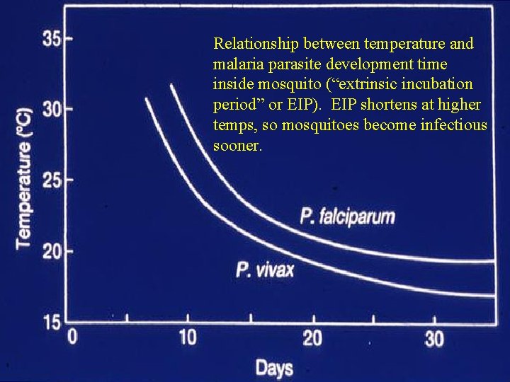 Relationship between temperature and malaria parasite development time inside mosquito (“extrinsic incubation period” or