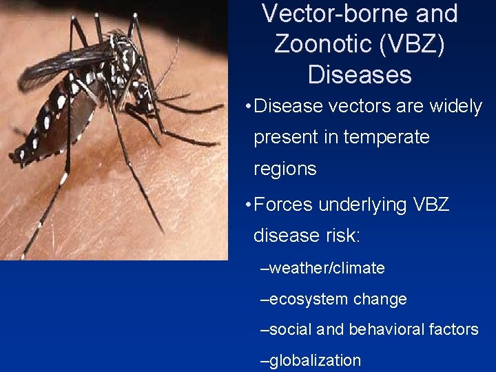 Vector-borne and Zoonotic (VBZ) Diseases • Disease vectors are widely present in temperate regions