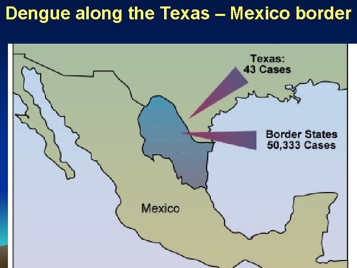 Dengue along the Texas – Mexico border 