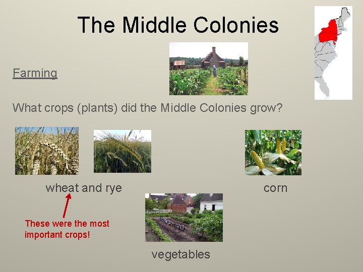 The Middle Colonies Farming What crops (plants) did the Middle Colonies grow? wheat and