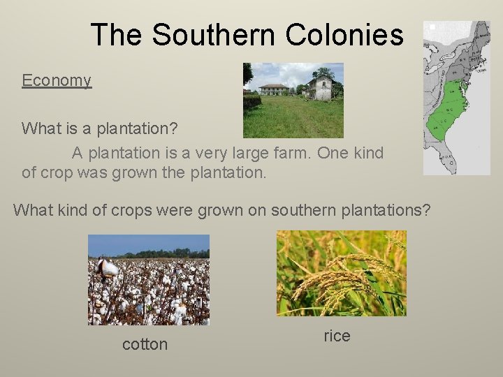 The Southern Colonies Economy What is a plantation? A plantation is a very large