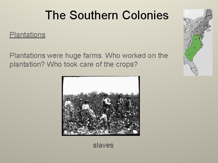 The Southern Colonies Plantations were huge farms. Who worked on the plantation? Who took