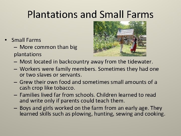 Plantations and Small Farms • Small Farms – More common than big plantations –