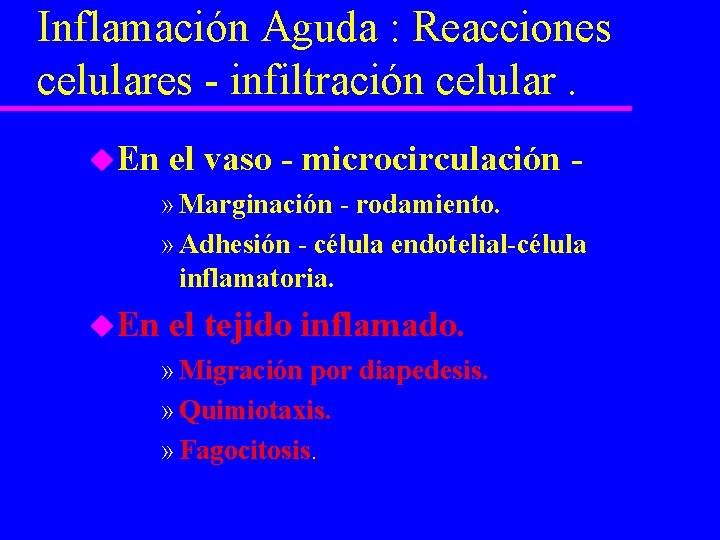 Inflamación Aguda : Reacciones celulares - infiltración celular. u. En el vaso - microcirculación