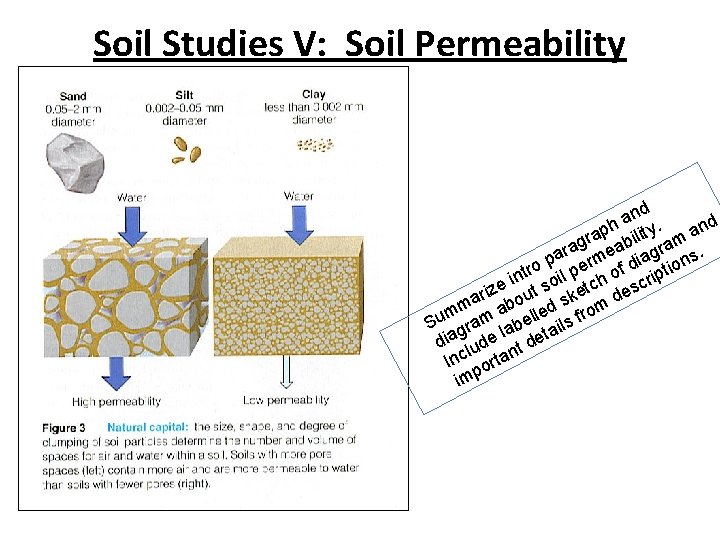 Soil Studies V: Soil Permeability d n a y. d h n rap bilit