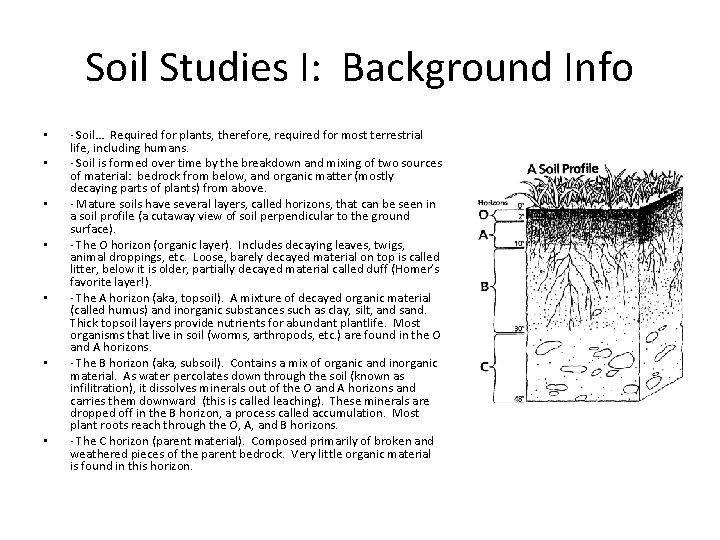 Soil Studies I: Background Info • • · Soil… Required for plants, therefore, required Soil Studies I: Background Info • • · Soil… Required for plants, therefore, required