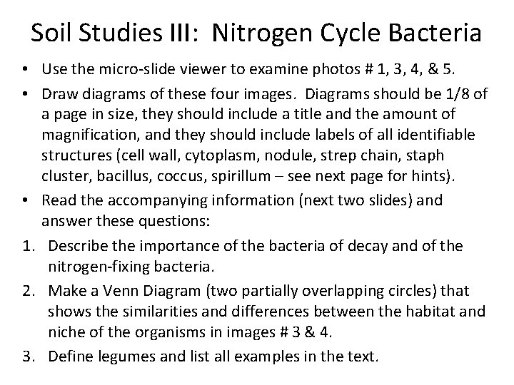 Soil Studies III: Nitrogen Cycle Bacteria • Use the micro-slide viewer to examine photos Soil Studies III: Nitrogen Cycle Bacteria • Use the micro-slide viewer to examine photos