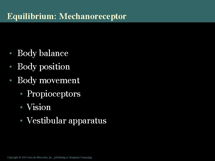 Equilibrium: Mechanoreceptor • Body balance • Body position • Body movement • Propioceptors •