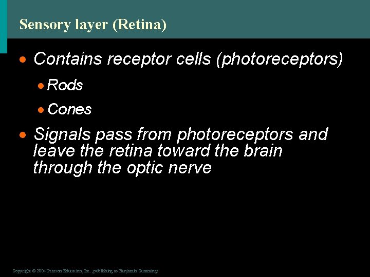 Sensory layer (Retina) · Contains receptor cells (photoreceptors) · Rods · Cones · Signals