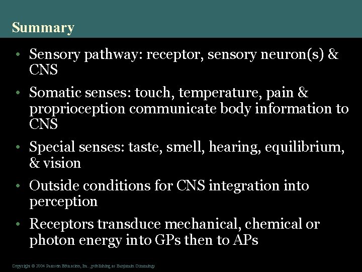 Summary • Sensory pathway: receptor, sensory neuron(s) & CNS • Somatic senses: touch, temperature,