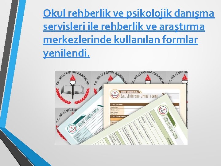 Okul rehberlik ve psikolojik danışma servisleri ile rehberlik ve araştırma merkezlerinde kullanılan formlar yenilendi.