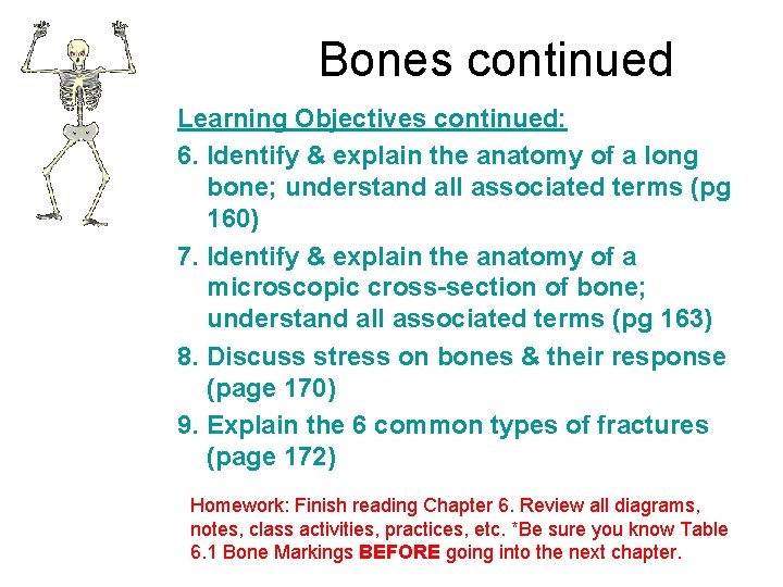 Bones continued Learning Objectives continued: 6. Identify & explain the anatomy of a long