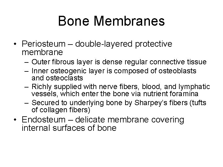 Bone Membranes • Periosteum – double-layered protective membrane – Outer fibrous layer is dense