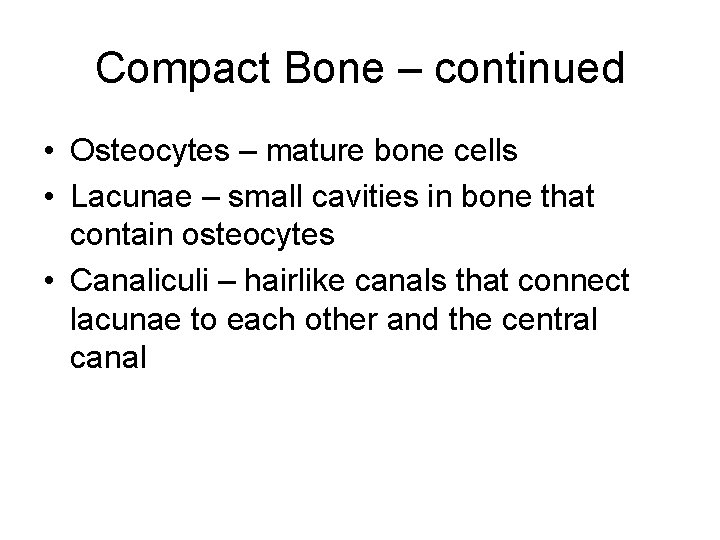 Compact Bone – continued • Osteocytes – mature bone cells • Lacunae – small