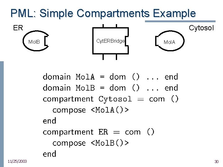 PML: Simple Compartments Example ER Cytosol Mol. B 11/25/2003 Cyt. ERBridge Mol. A 30