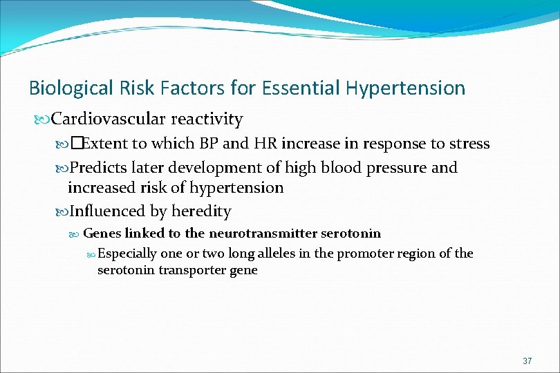Biological Risk Factors for Essential Hypertension Cardiovascular reactivity �Extent to which BP and HR