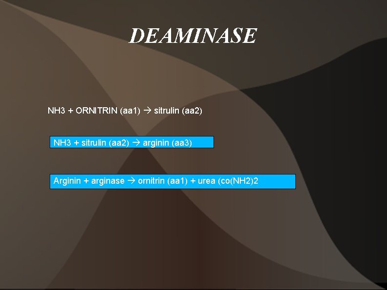 DEAMINASE NH 3 + ORNITRIN (aa 1) sitrulin (aa 2) NH 3 + sitrulin