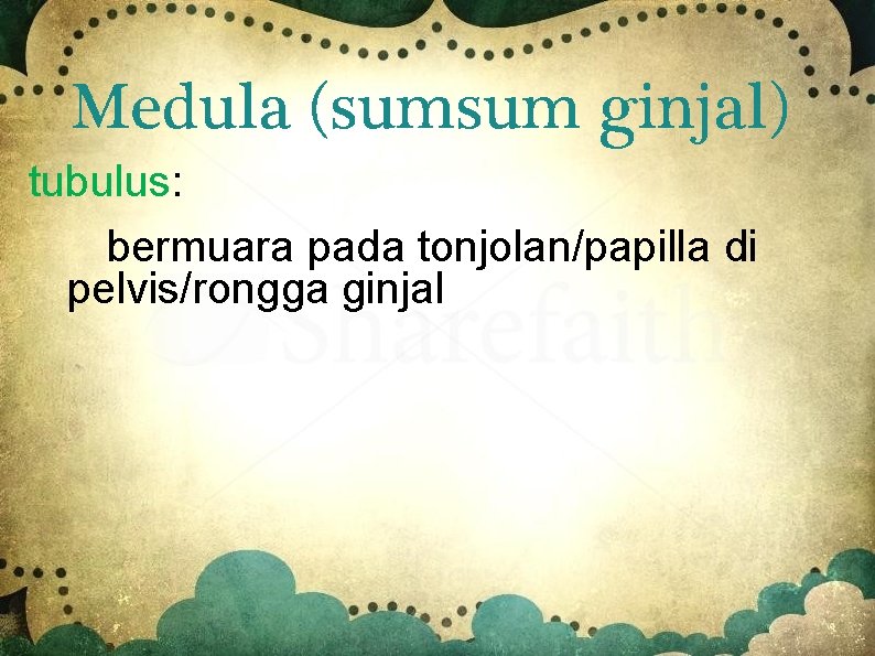 Medula (sumsum ginjal) tubulus: bermuara pada tonjolan/papilla di pelvis/rongga ginjal 