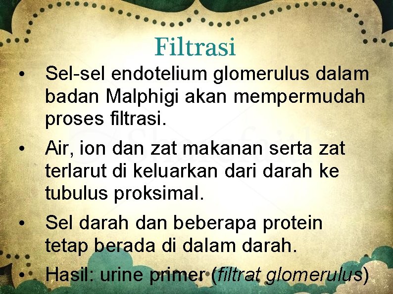 Filtrasi • Sel-sel endotelium glomerulus dalam badan Malphigi akan mempermudah proses filtrasi. • Air,