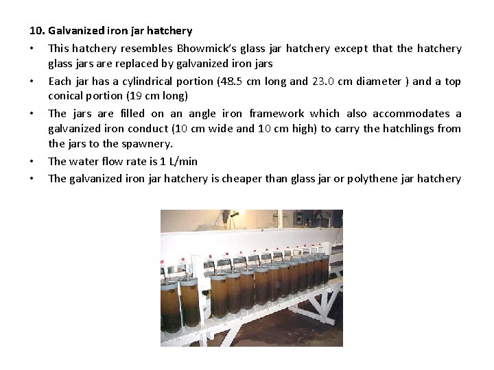 10. Galvanized iron jar hatchery • This hatchery resembles Bhowmick’s glass jar hatchery except