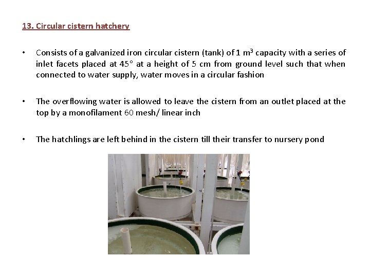 13. Circular cistern hatchery • Consists of a galvanized iron circular cistern (tank) of