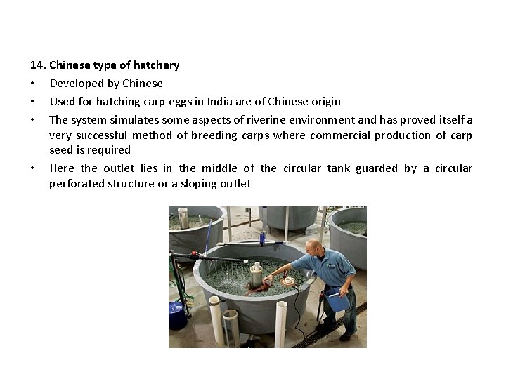 14. Chinese type of hatchery • Developed by Chinese • Used for hatching carp