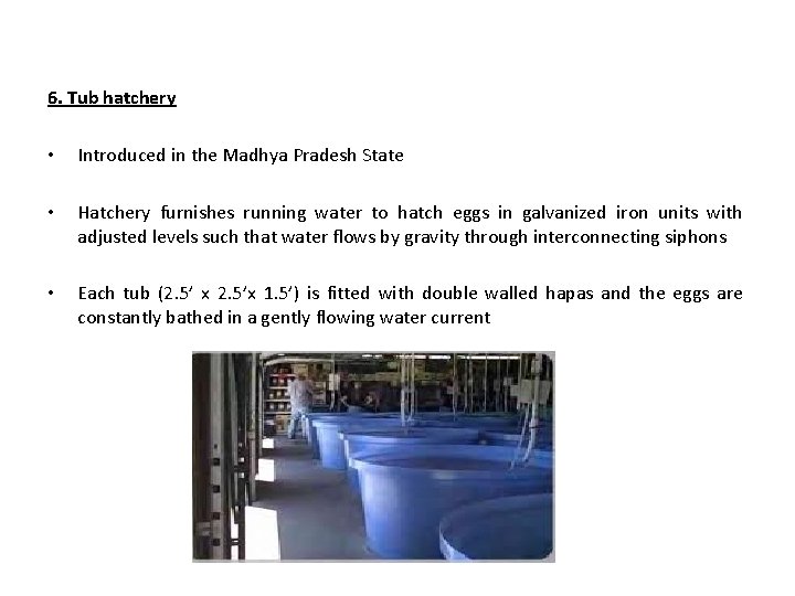 6. Tub hatchery • Introduced in the Madhya Pradesh State • Hatchery furnishes running