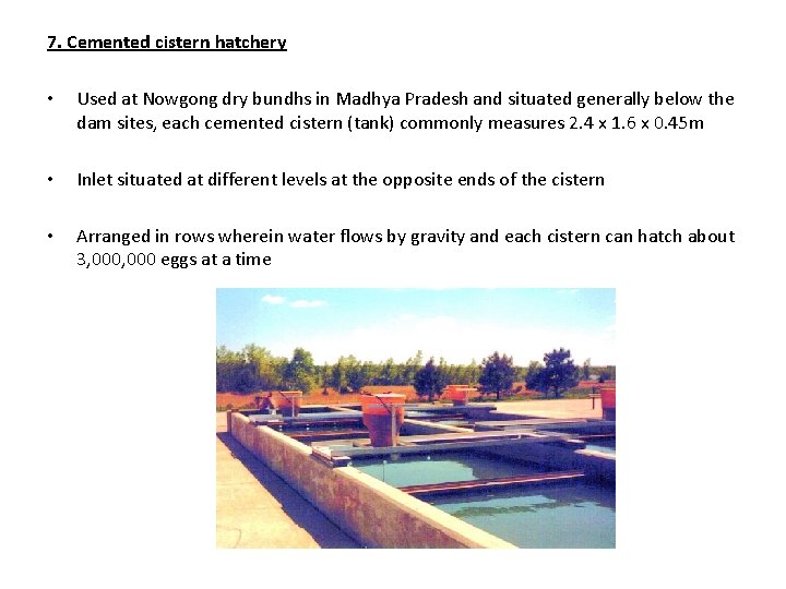 7. Cemented cistern hatchery • • • Used at Nowgong dry bundhs in Madhya