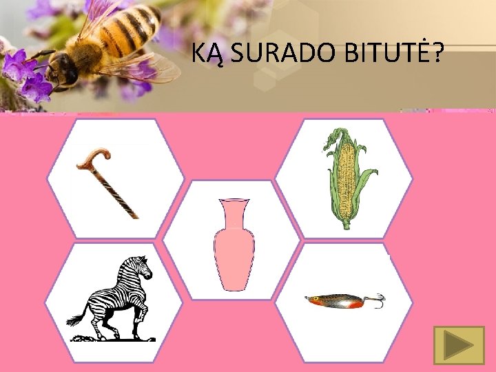 KĄ SURADO BITUTĖ? 