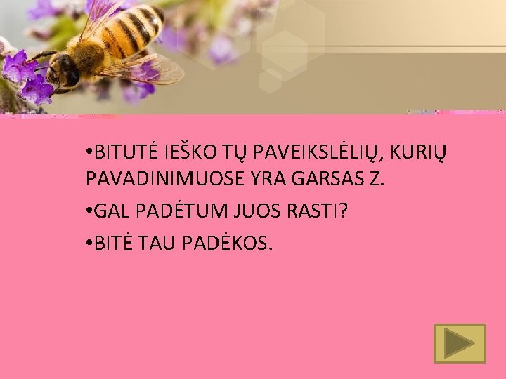  • BITUTĖ IEŠKO TŲ PAVEIKSLĖLIŲ, KURIŲ PAVADINIMUOSE YRA GARSAS Z. • GAL PADĖTUM