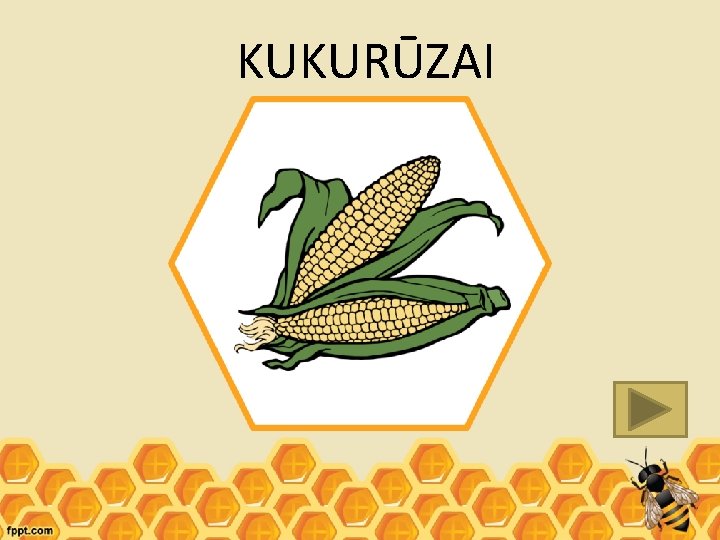 KUKURŪZAI 