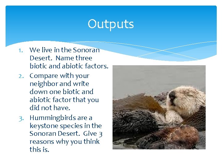 Outputs 1. We live in the Sonoran Desert. Name three biotic and abiotic factors.