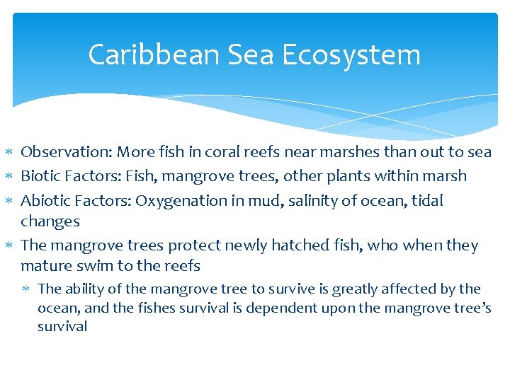 Caribbean Sea Ecosystem Observation: More fish in coral reefs near marshes than out to