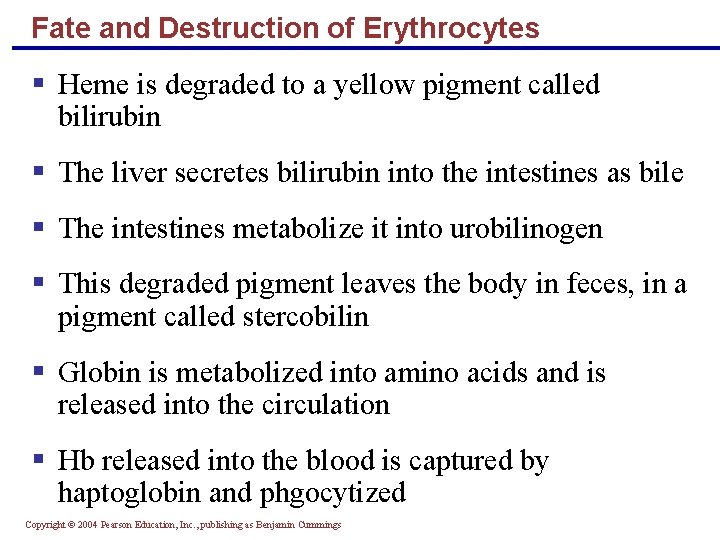 Fate and Destruction of Erythrocytes § Heme is degraded to a yellow pigment called
