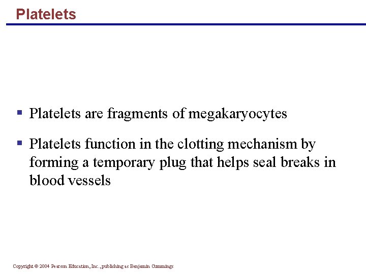 Platelets § Platelets are fragments of megakaryocytes § Platelets function in the clotting mechanism