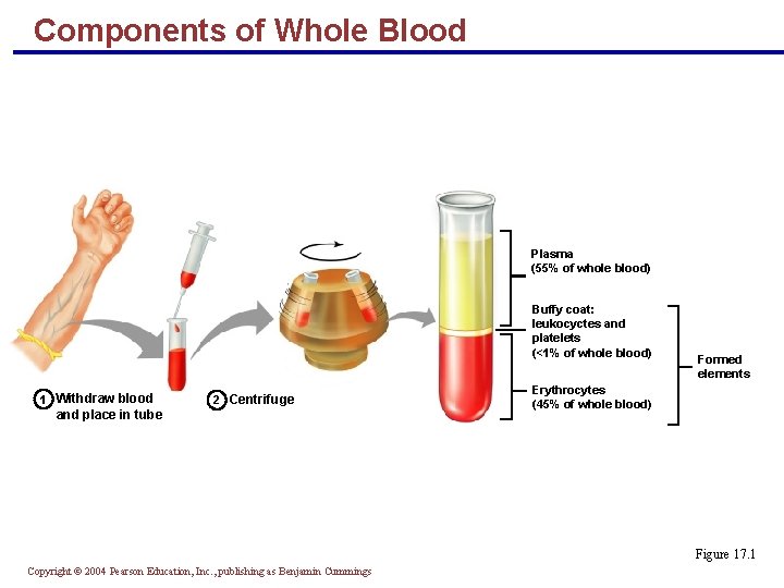 Components of Whole Blood Plasma (55% of whole blood) Buffy coat: leukocyctes and platelets