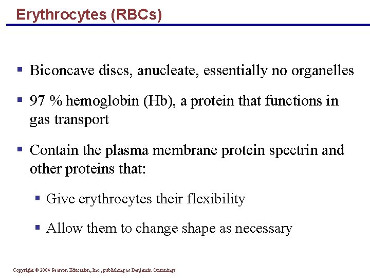 Erythrocytes (RBCs) § Biconcave discs, anucleate, essentially no organelles § 97 % hemoglobin (Hb),