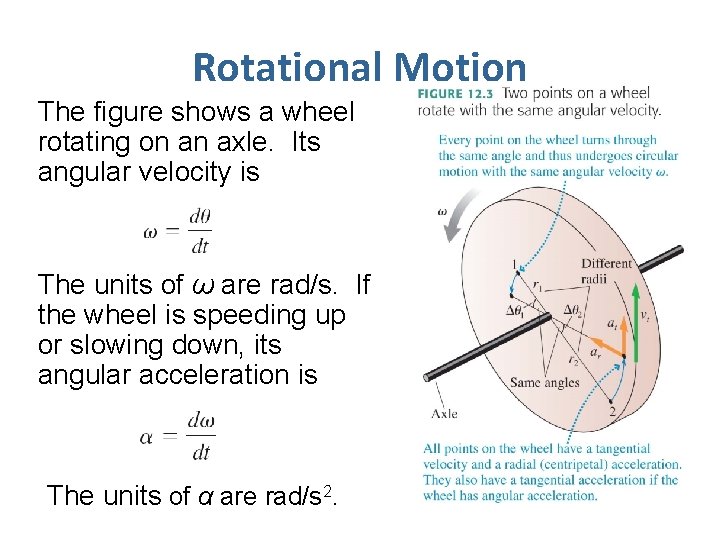 Rotational Motion The figure shows a wheel rotating on an axle. Its angular velocity
