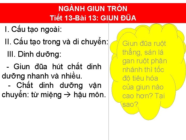 NGÀNH GIUN TRÒN Tiết 13 -Bài 13: GIUN ĐŨA I. Cấu tạo ngoài: II.