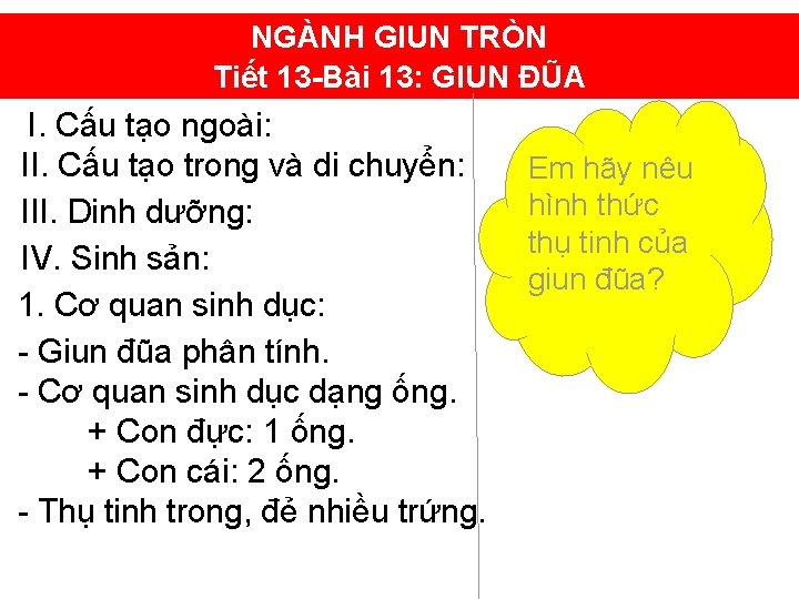 NGÀNH GIUN TRÒN Tiết 13 -Bài 13: GIUN ĐŨA I. Cấu tạo ngoài: II.