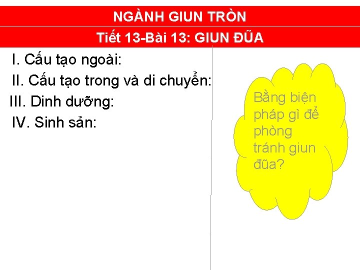 NGÀNH GIUN TRÒN Tiết 13 -Bài 13: GIUN ĐŨA I. Cấu tạo ngoài: II.