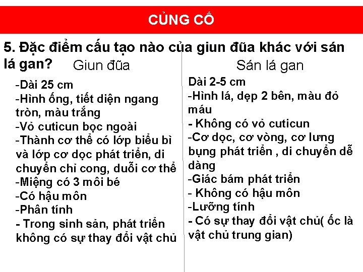 CỦNG CỐ 5. Đặc điểm cấu tạo nào của giun đũa khác với sán