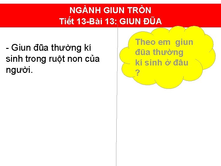NGÀNH GIUN TRÒN Tiết 13 -Bài 13: GIUN ĐŨA - Giun đũa thường kí