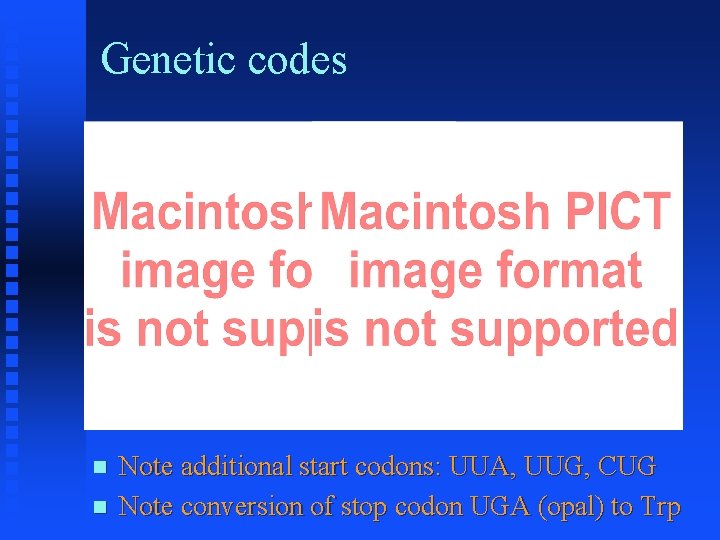 Genetic codes Note additional start codons: UUA, UUG, CUG Note conversion of stop codon