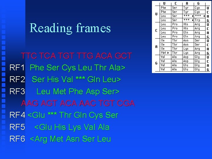 Reading frames TTC TCA TGT TTG ACA GCT RF 1 Phe Ser Cys Leu