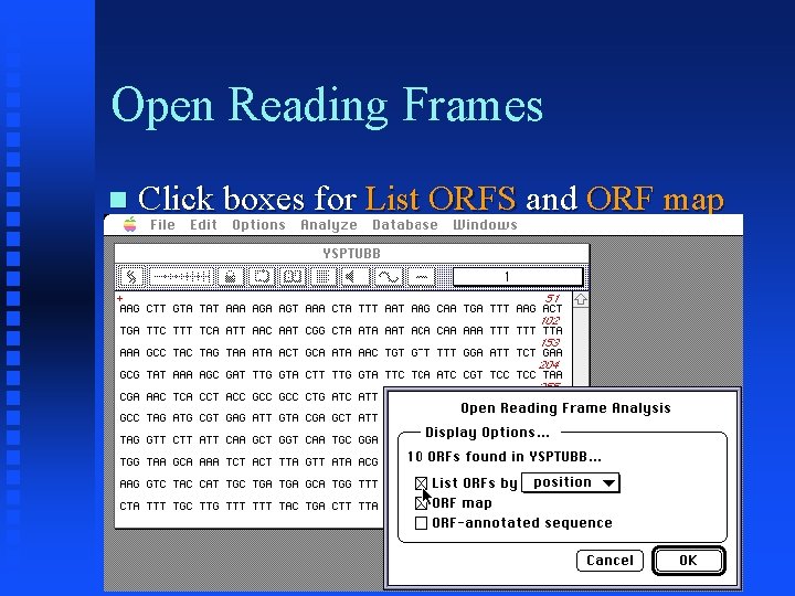 Open Reading Frames Click boxes for List ORFS and ORF map 