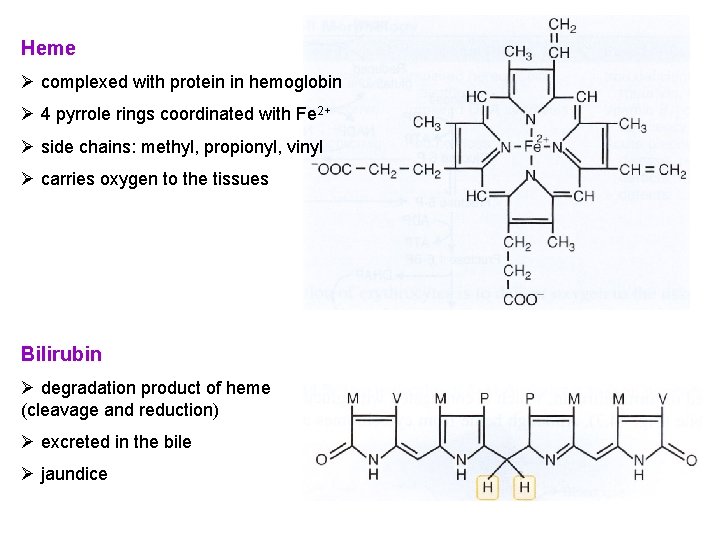 Heme Ø complexed with protein in hemoglobin Ø 4 pyrrole rings coordinated with Fe