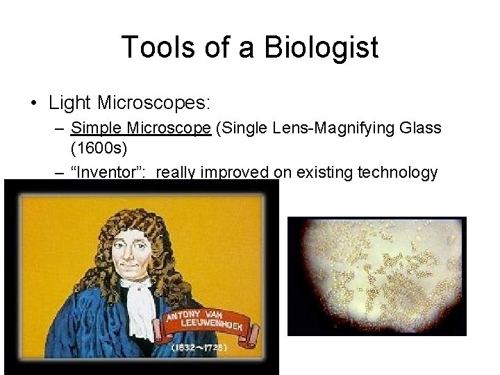 Tools of a Biologist • Light Microscopes: – Simple Microscope (Single Lens-Magnifying Glass (1600