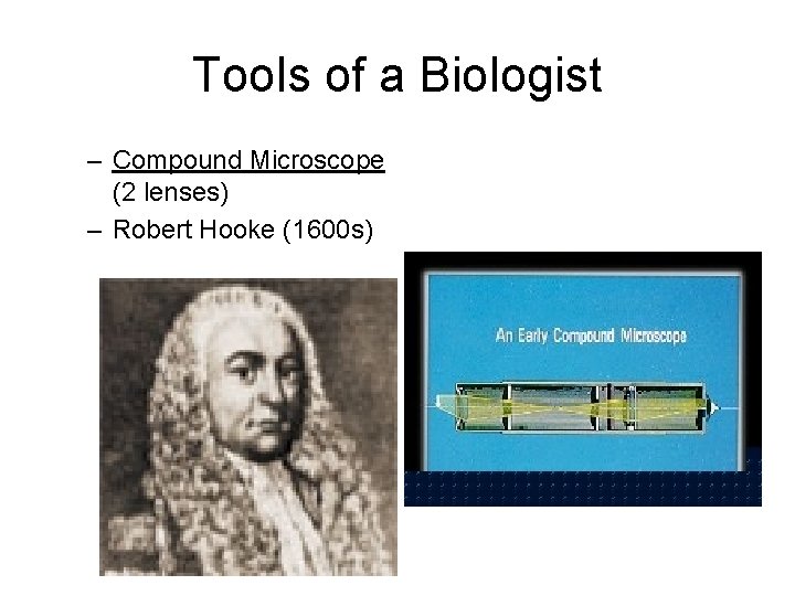 Tools of a Biologist – Compound Microscope (2 lenses) – Robert Hooke (1600 s)